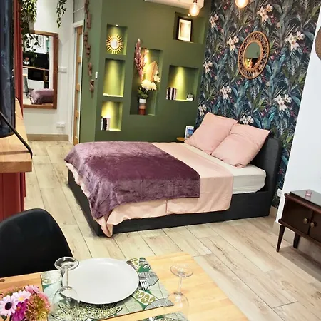 דירה De Charme Climatise Gare Riquier ניס